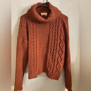 Turtle Neck Sweater- Worn Once